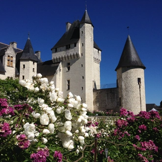 tourhub | Exodus Adventure Travels | Cycle the Loire Valley 