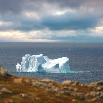 tourhub | Intrepid Travel | Newfoundland Adventure: Eastbound 