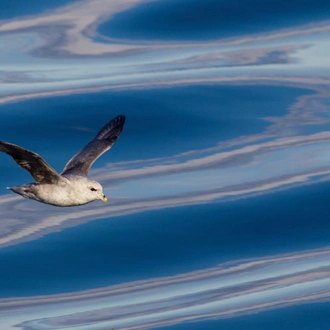 tourhub | Exodus Adventure Travels | Spitsbergen Highlights: Expedition in Brief 