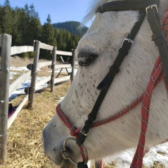 tourhub | Visit Bulgaria On | Private 2-Day Horse Riding Trip in Rila from Sofia 