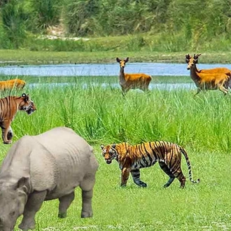 tourhub | Alpine Club of Himalaya | Chitwan National Park Tour - 3 Days 