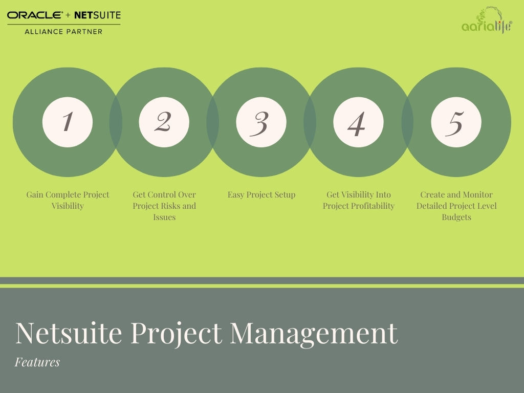NetSuite Project Management - Aarialife