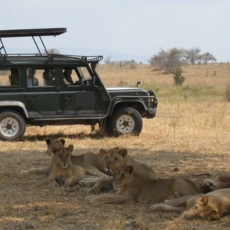 tourhub | Gracepatt Ecotours Kenya | 4-Day Tanzania Camping Safari to Lake Manyara, Serengeti, and Ngorongoro Crater 