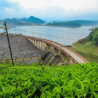 tourhub | Agora Voyages | Cochin to Munnar 