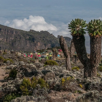 tourhub | Razan Safaris | Best and affordable 6 days Umbwe route Kilimanjaro climbing tour Package 