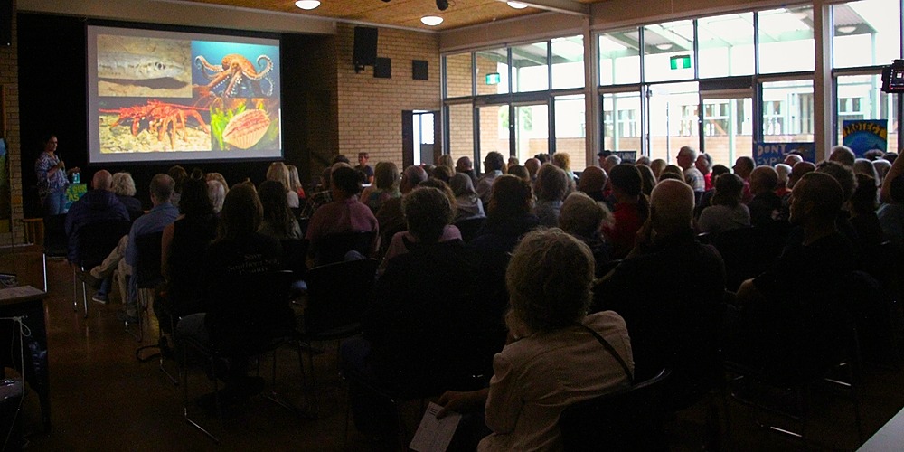 A screening event co-hosted by the Australian Marine Conservation Society in Apollo Bay, 2024.