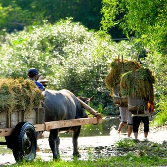 tourhub | Explore! | Upgraded - Vietnam and Angkor 