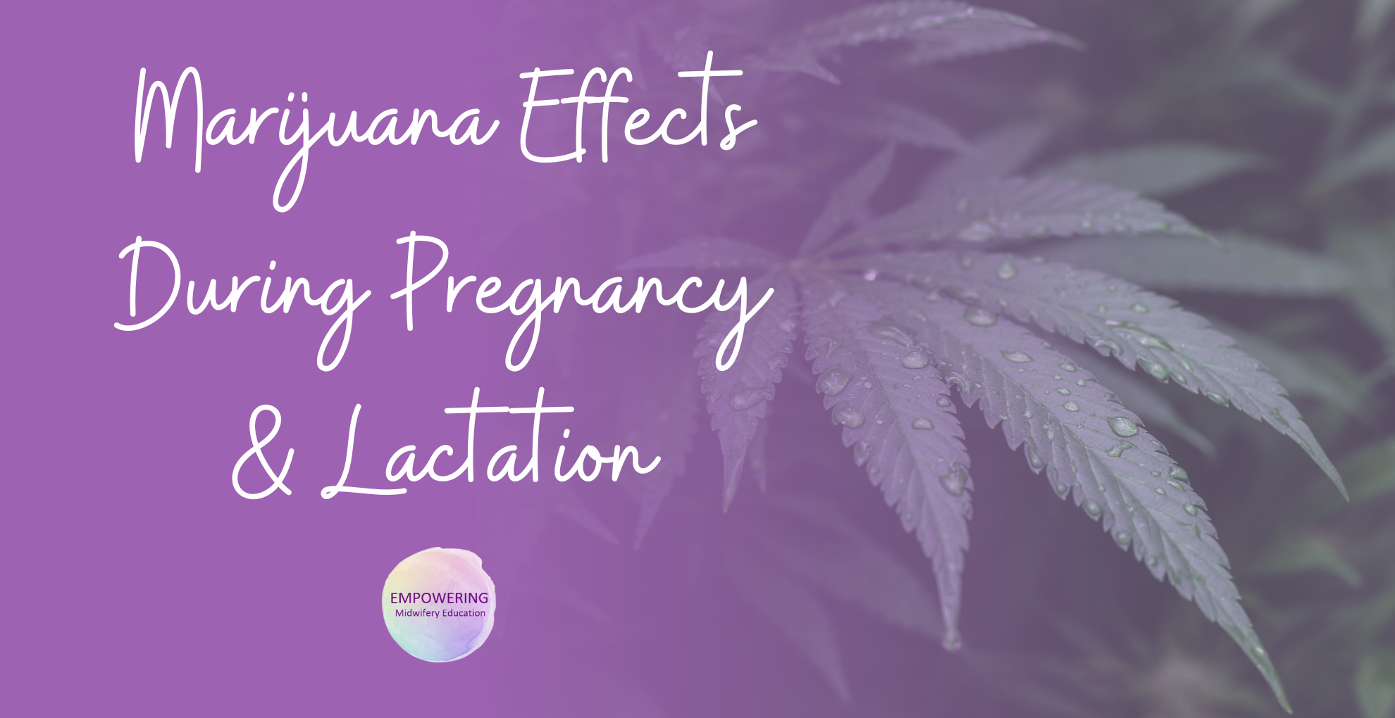 Health Effects Of Marijuana Use During Pregnancy And Lactation | Empow