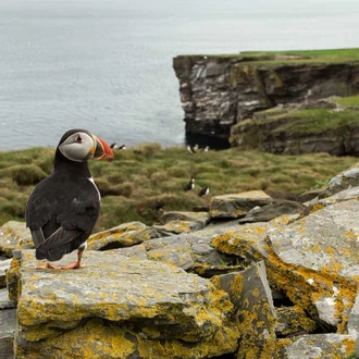 tourhub | Intrepid Travel | Exploring Spitsbergen via the Faroes and Jan Mayen 