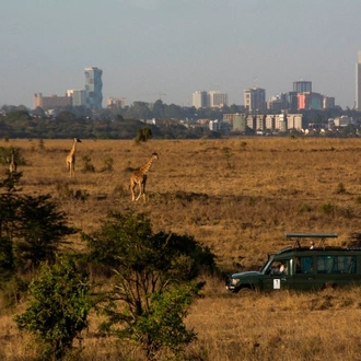 tourhub | Today Voyages | Les Secrets du Kenya en Safari et Extension a Diani Beach 