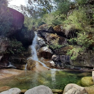 tourhub | Intrepid Travel | Walk Victoria's High Country 