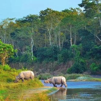 tourhub | On The Go Tours | Kathmandu & Chitwan NP - 6 days 