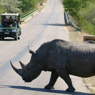 tourhub | On The Go Tours | Kruger Safari Experience - 4 days 