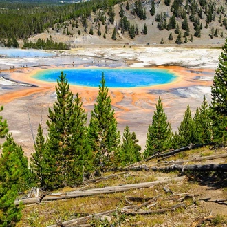 tourhub | Intrepid Travel | South Dakota to Yellowstone Parks Explorer		 