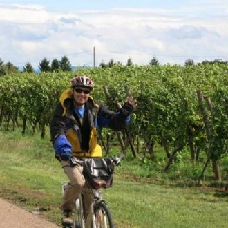 tourhub | UTracks | Basel to Strasbourg by Bike 