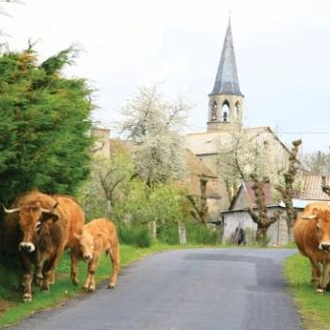 tourhub | UTracks | The Full Le Puy Camino by Bike 