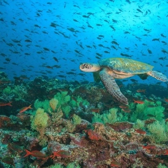 tourhub | Encounters Travel | Best of the Galapagos 