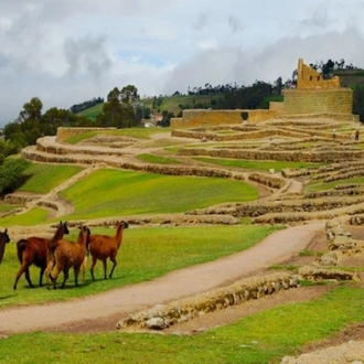 tourhub | Today Voyages | Ecuador and Galapagos : Drive & Discover 