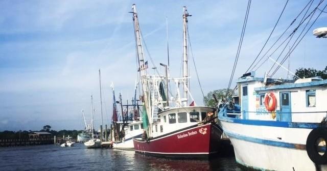 Two Hour Harbor Boat Tour