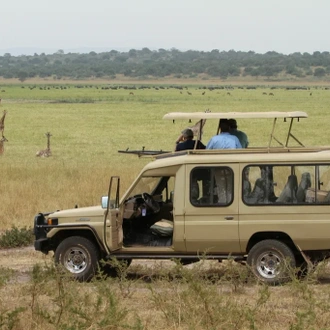 tourhub | Kingfisher Journeys | 2 Days Akagera Wildlife Safari Experience 