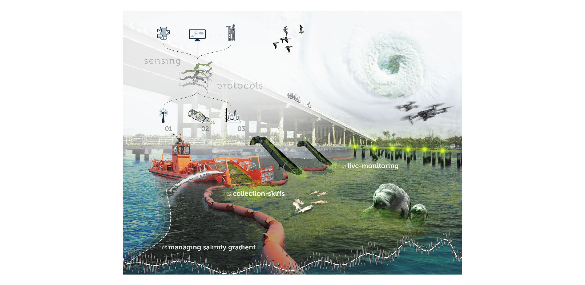 Sensing Protocols - Estuary Mitigation Strategies
