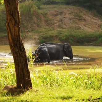 tourhub | Panda Experiences | Best of Karnataka and Goa 