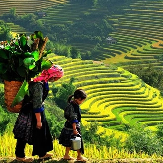 tourhub | LVP Travel Vietnam | Hanoi- Sapa 2 Days 3 nights by Train 