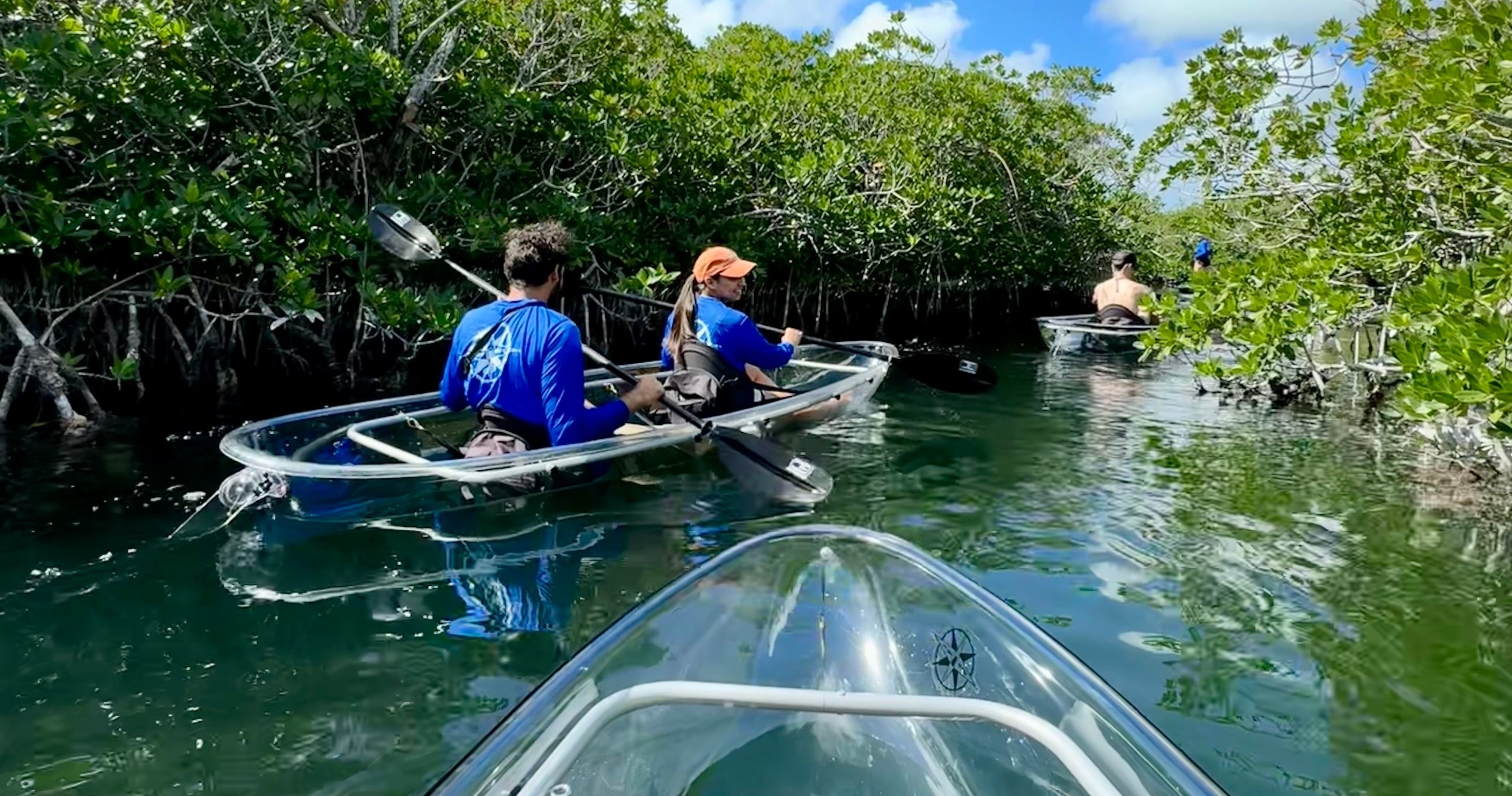 Clear Kayak Tour of Sugarloaf Key image 2