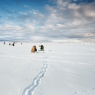 tourhub | Nordic Unique Travels | 5-Day Wild Lapland Experience 