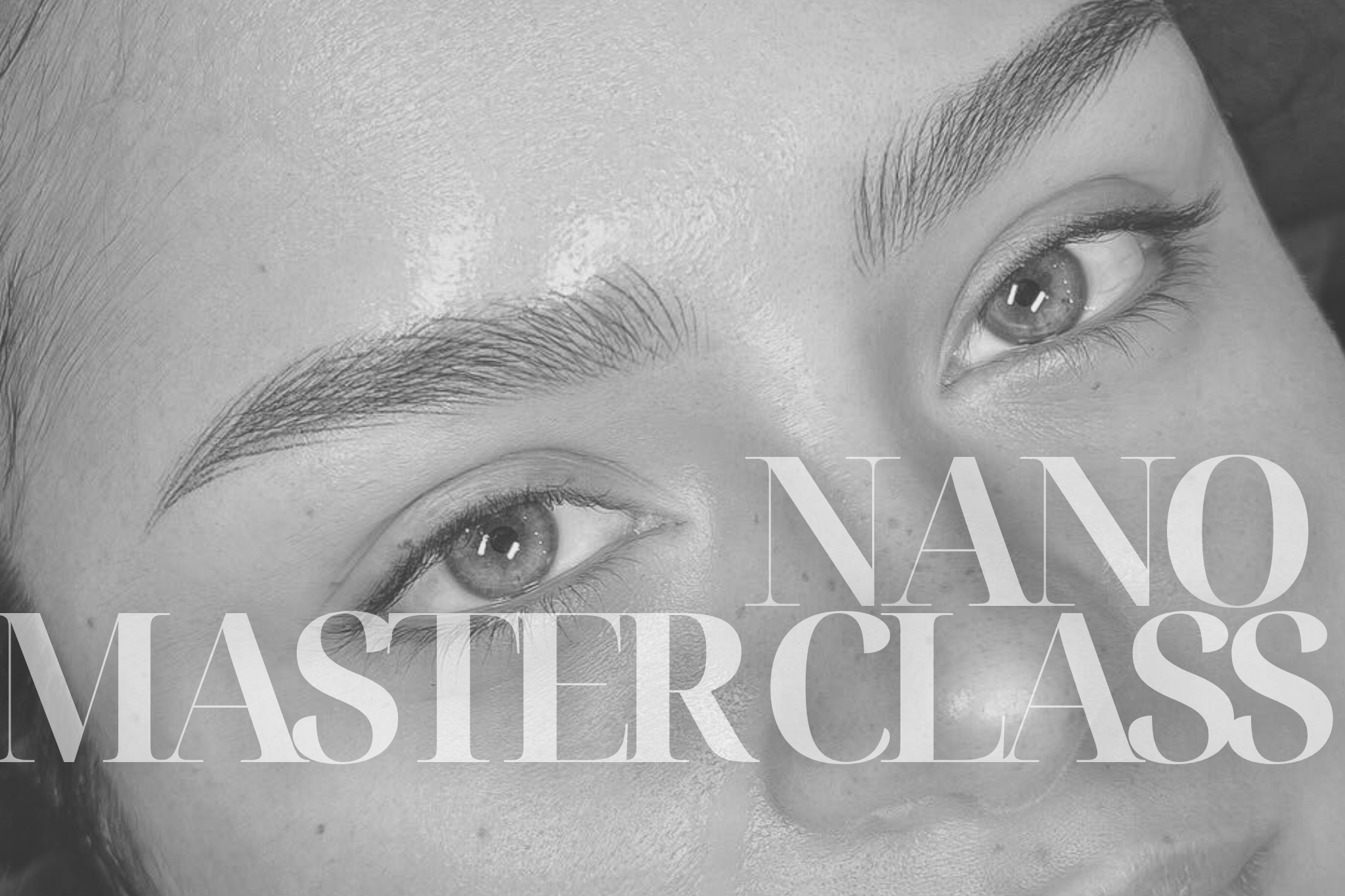 nano-master-class-supernatural-brows-training