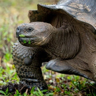 tourhub | Intrepid Travel | Classic Galapagos: Southern Islands (Grand Queen Beatriz) 