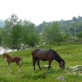 tourhub | SpiceRoads Cycling | Highlights of Bulgaria by Bicycle 