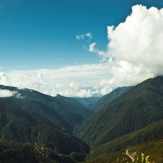 tourhub | Tangol Tours | 3-Day Manu National Park Tour from Cusco 