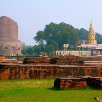 tourhub | Panda Experiences | Golden Triangle with Buddhist Tour 