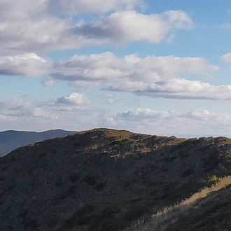 tourhub | Intrepid Travel | Walk Victoria's High Country 