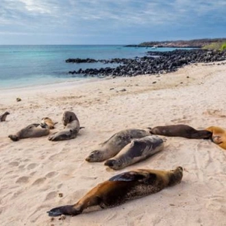 tourhub | On The Go Tours | Galapagos Island Hopping - 7 days 