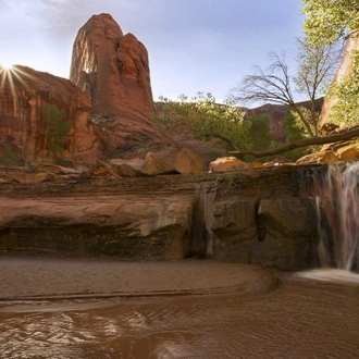 tourhub | Intrepid Travel | Hiking and Backpacking Utah's Coyote Gulch		 