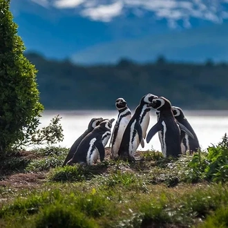 tourhub | Trafalgar | Wonders of Patagonia 