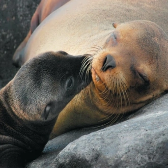 tourhub | Today Voyages | Ecuador and Galapagos : Drive & Discover 