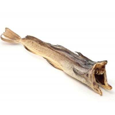 Stockfish Is Unsalted Fish Especially Cod Dried By Cold Air Stock