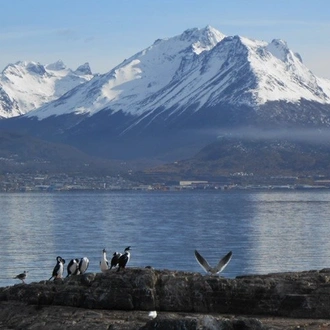 tourhub | Undiscovered Destinations | Argentina and Chile Glaciers and Peaks of Patagonia 