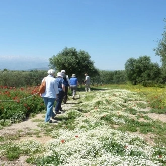 tourhub | Travel Editions | Spring Flowers of Crete Escorted Tour 