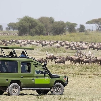 tourhub | Gracepatt Ecotours Kenya | 4 Days Masai Mara and Lake Nakuru Luxury Safari on 4x4 Jeep 