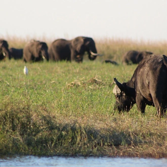 tourhub | Intrepid Travel | Chobe National Park Short Break 