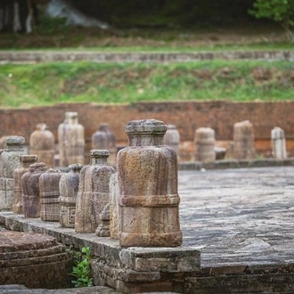 tourhub | Agora Voyages | Temples and Mangroves: A Cultural and Ecological Odyssey in Odisha 