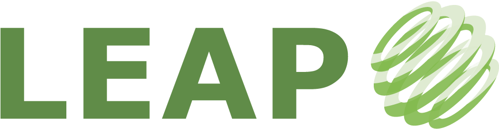 Leap International logo