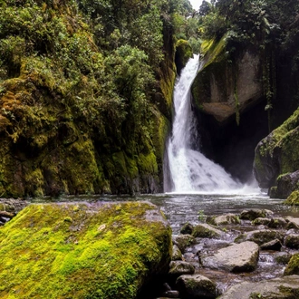 tourhub | Destination Services Costa Rica | Wild Jungles and Secret Mountain of Costa Rica 