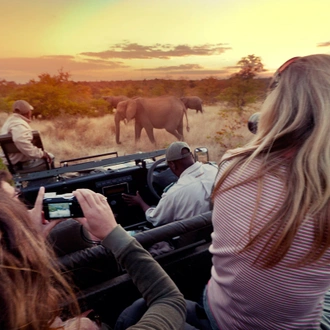 tourhub | G Adventures | Best of Africa's Wildlife: Cape Town, Kruger, Hwange, & Chobe 