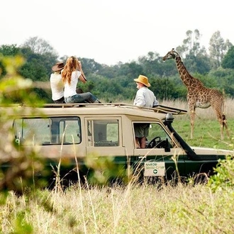 tourhub | Gracepatt Ecotours Kenya | 8 days Spectacular Tanzania Northern Circuit Wildlife Safari Lodge  