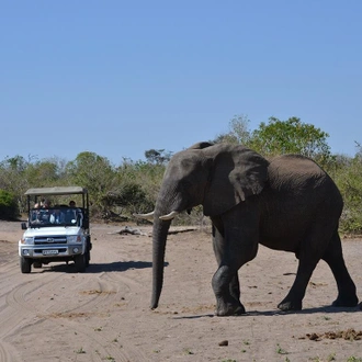 tourhub | Bamba Travel | Victoria Falls & Chobe Xtreme Adventure 5D/4N (from Victoria Falls) 